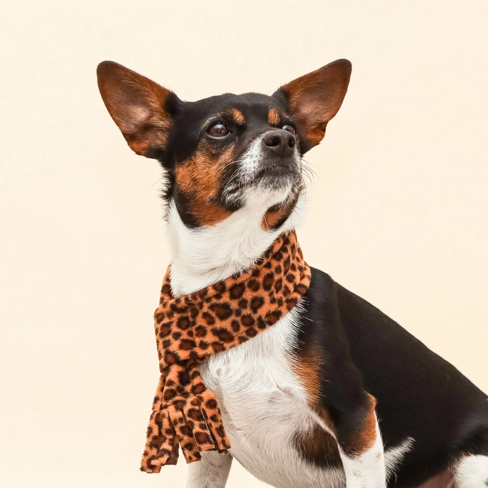 Tawny Brown Leopard Fleece Pet Scarf