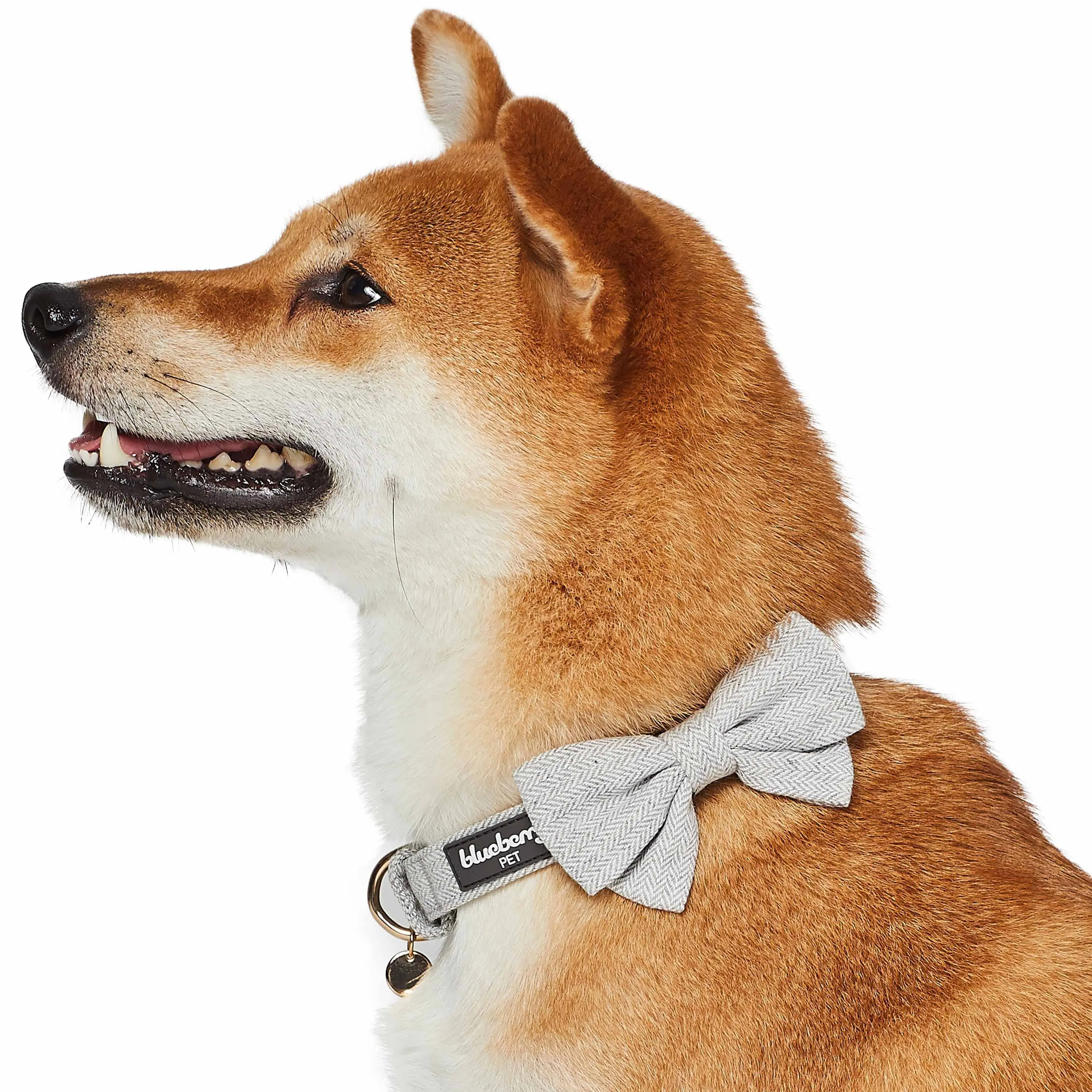 Textured Tweed Dog Collar