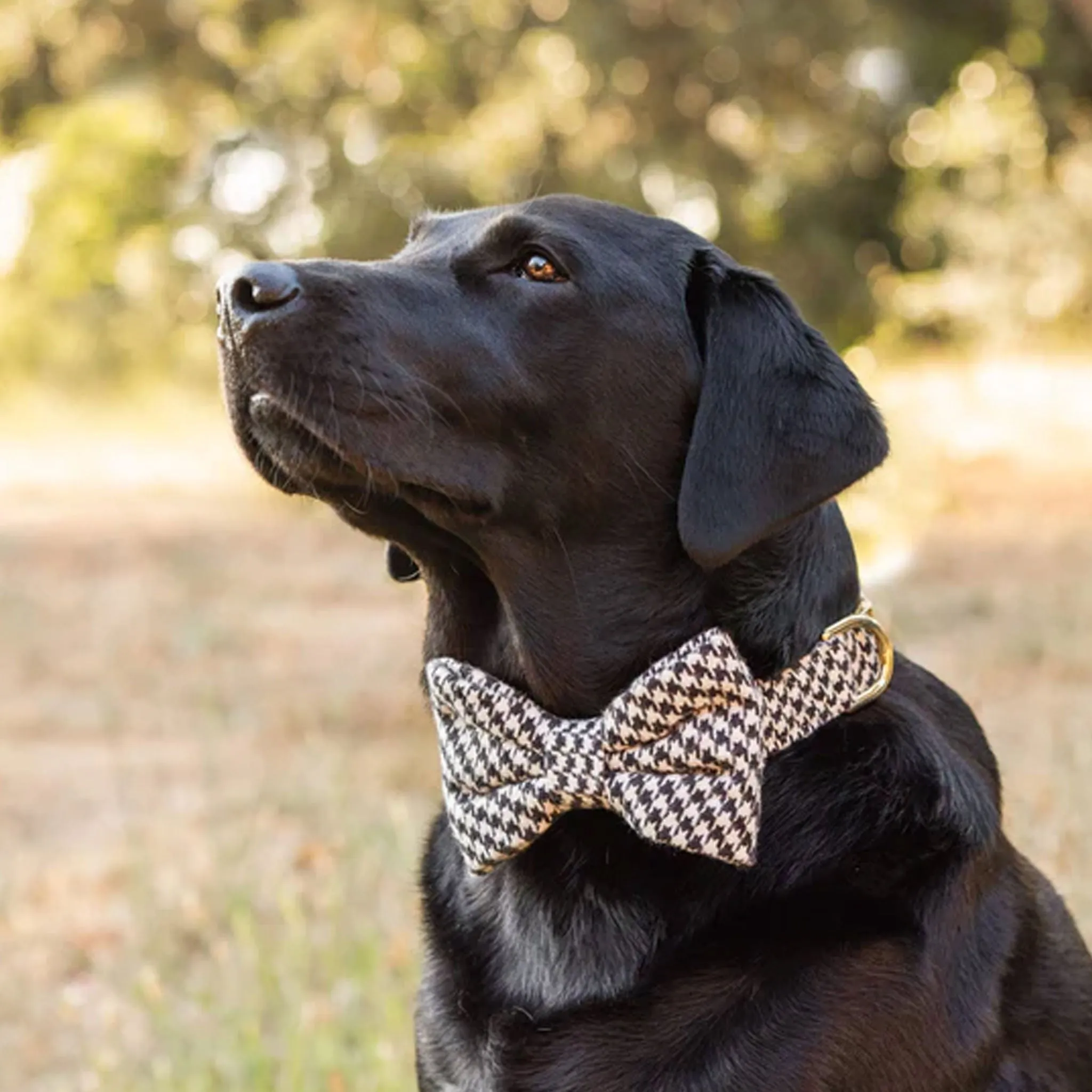 The Foggy Dog Bowtie - Houndstooth