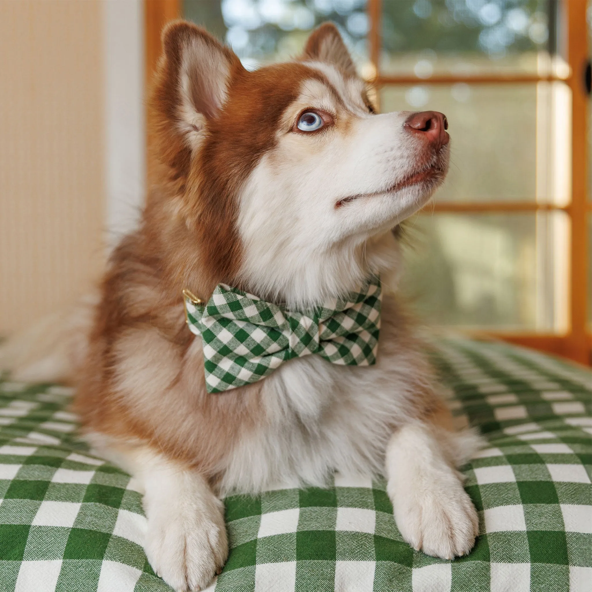 The Foggy Dog x Heather Taylor Home Bowtie - Gingham Hunter