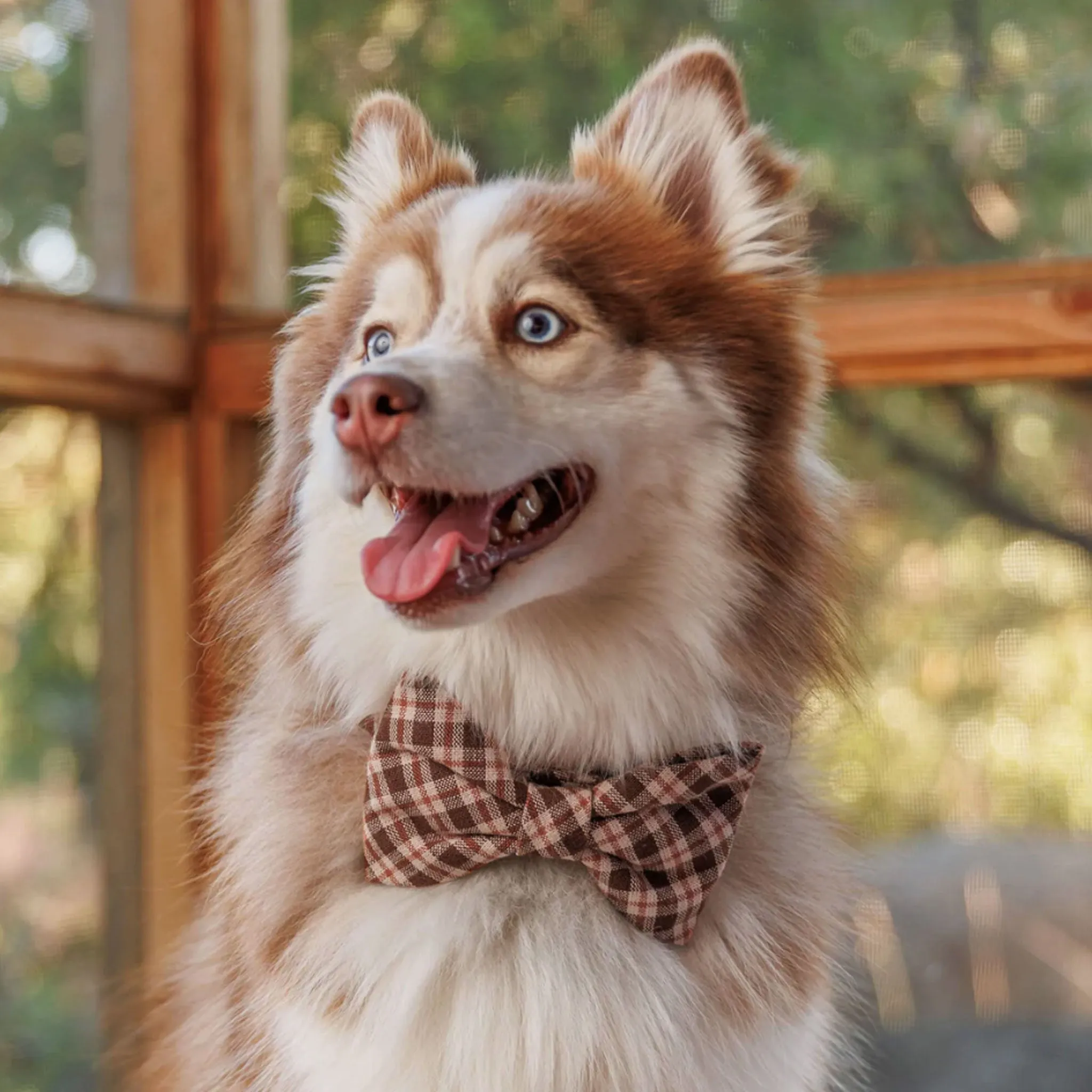 The Foggy Dog x Heather Taylor Home Bowtie - Hudson Plaid
