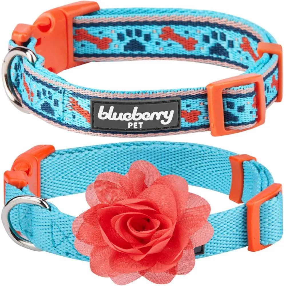 The Mix and Match Designer Dog Collar