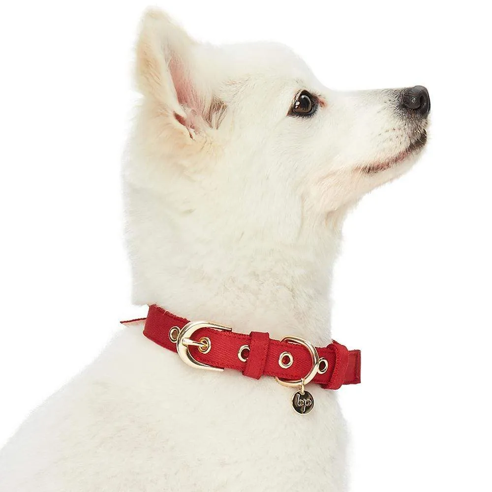 The Most Coveted Dog Collar with Bowtie & Pearl