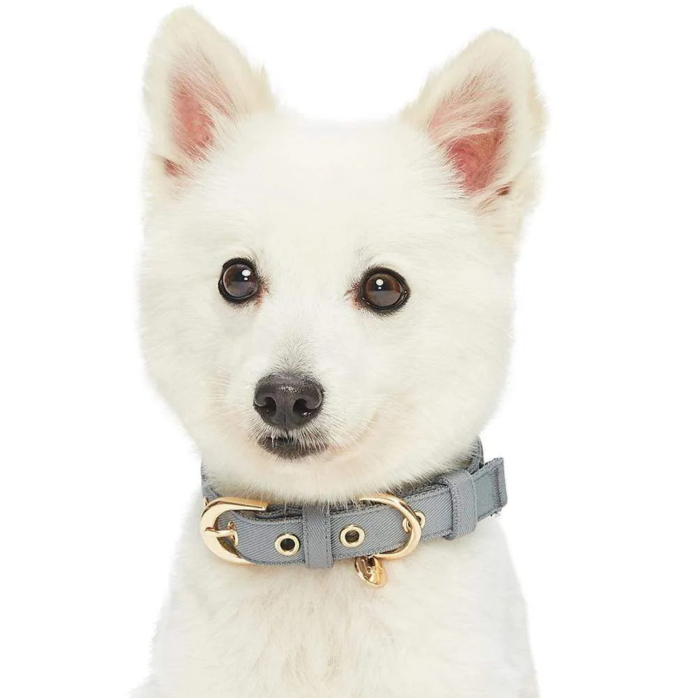 The Most Coveted Dog Collar with Bowtie & Pearl