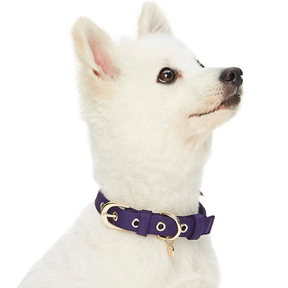 The Most Coveted Dog Collar with Bowtie & Pearl