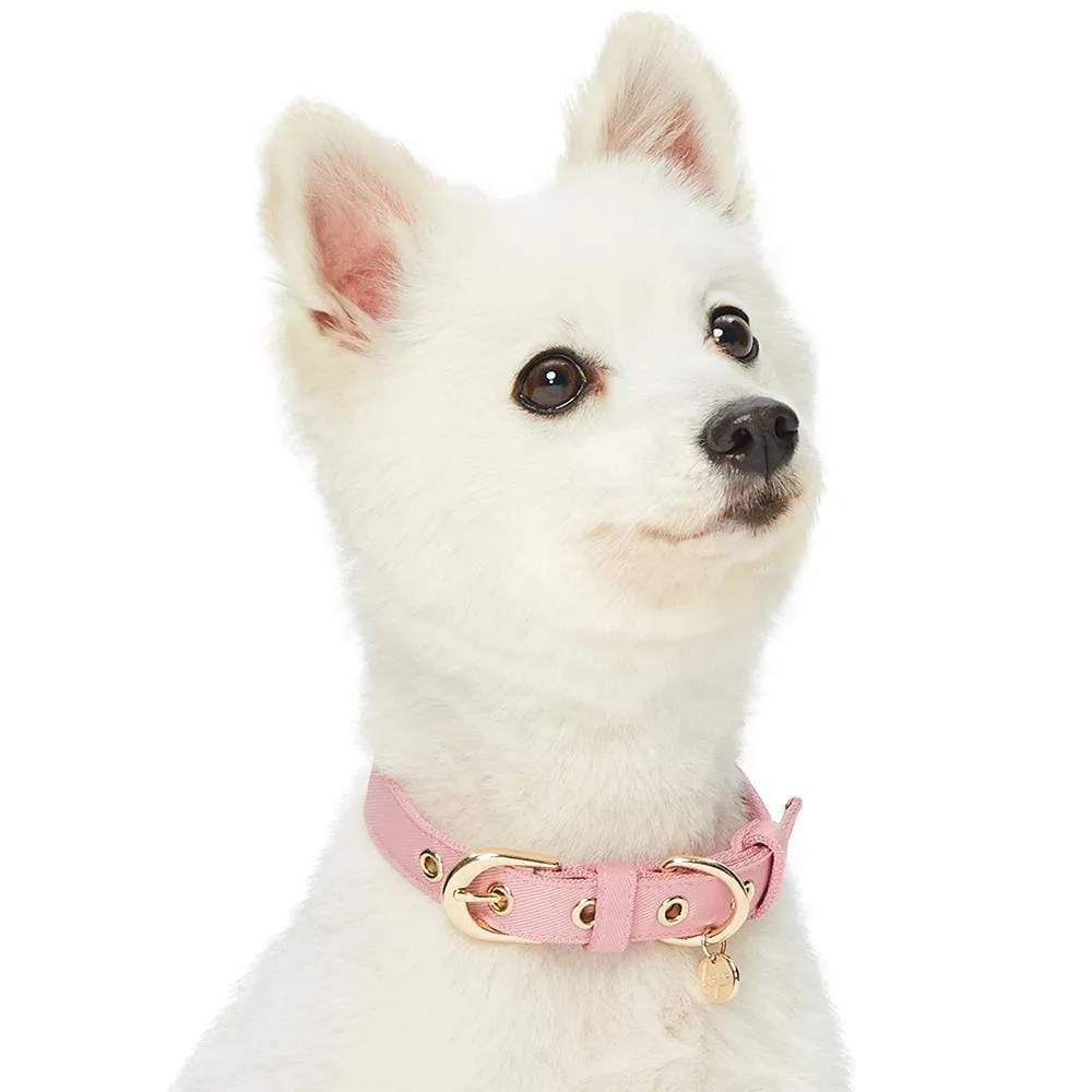 The Most Coveted Dog Collar with Bowtie & Pearl