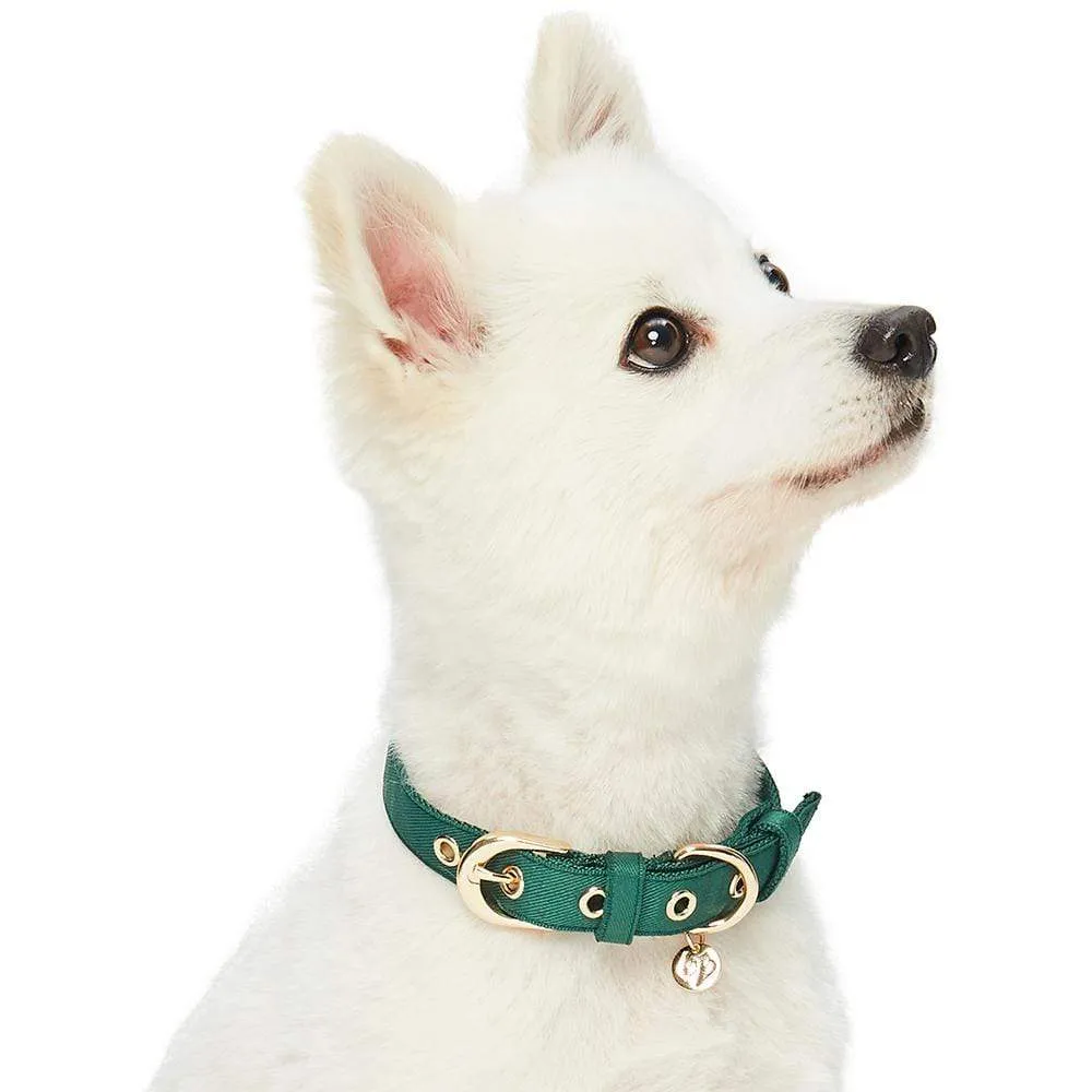 The Most Coveted Dog Collar with Bowtie & Pearl