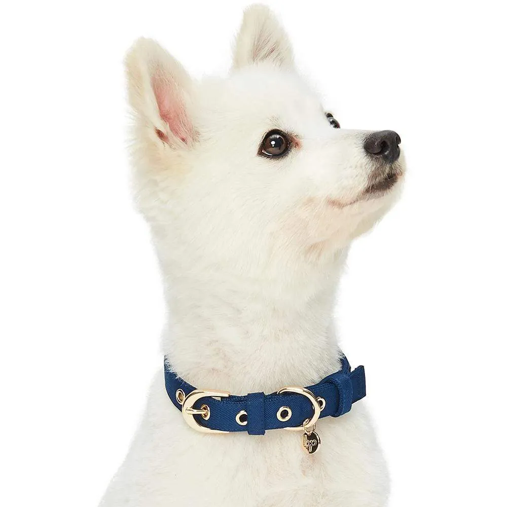 The Most Coveted Dog Collar with Bowtie & Pearl