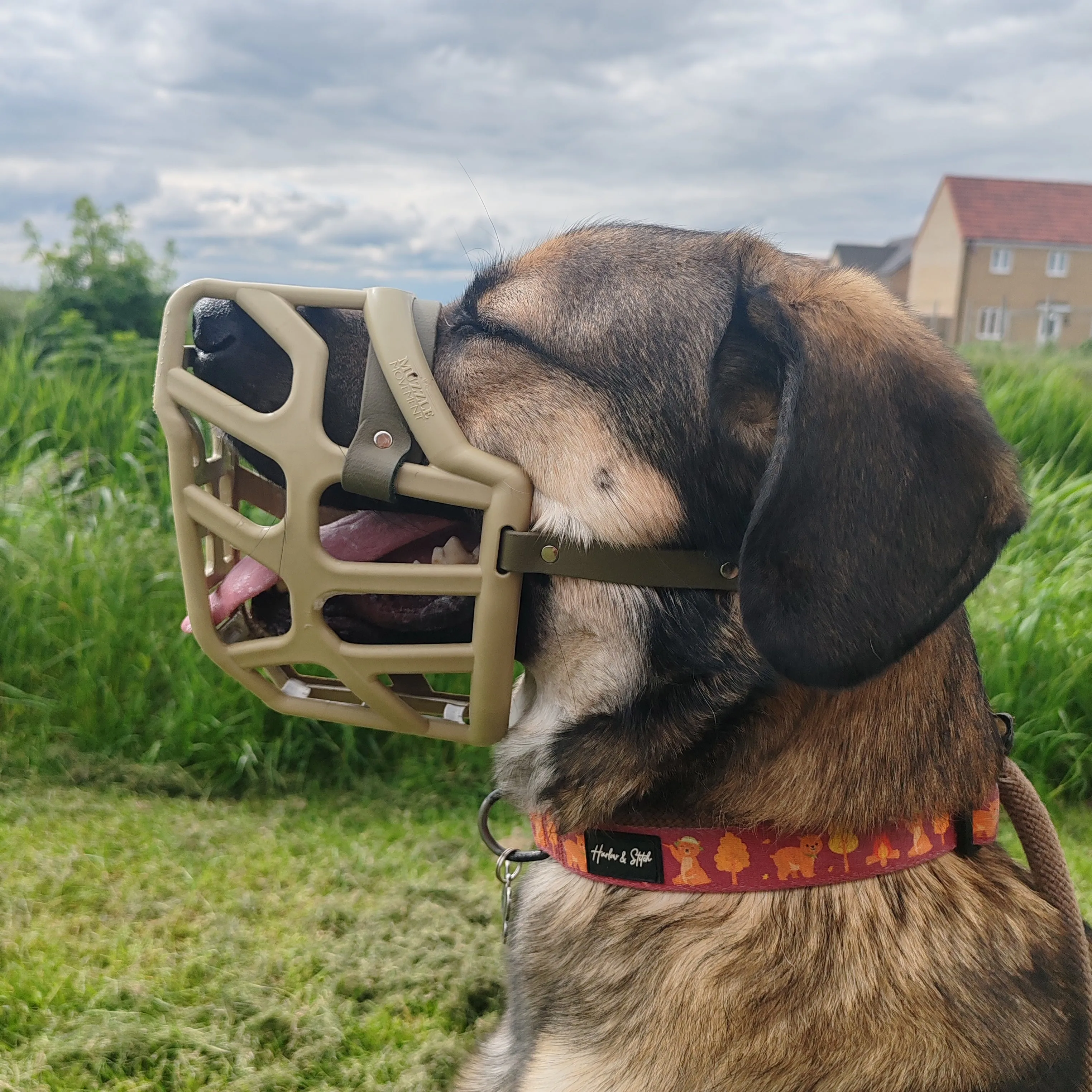The Muzzle Movement Size Taz (Wholesale)