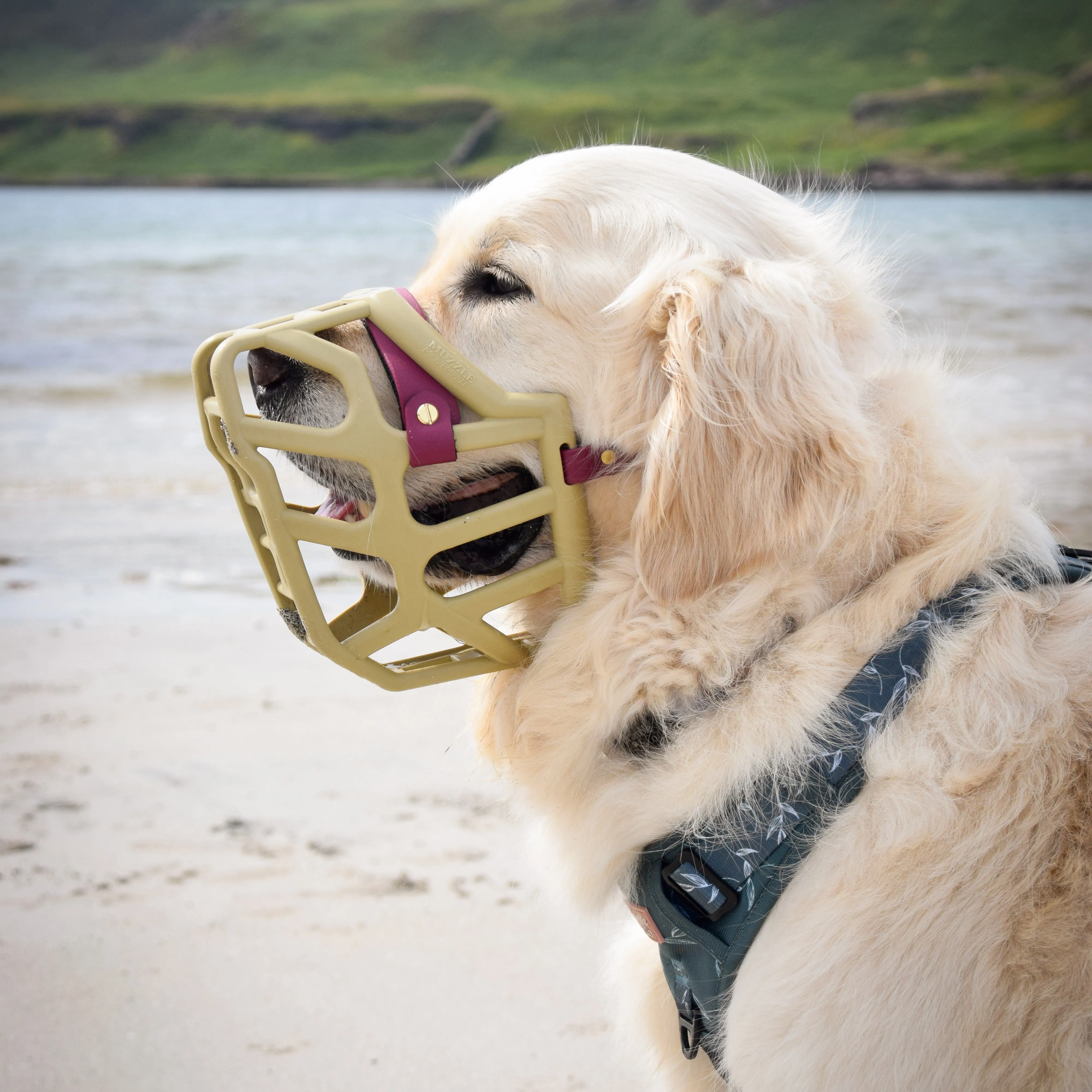 The Muzzle Movement Size Taz (Wholesale)