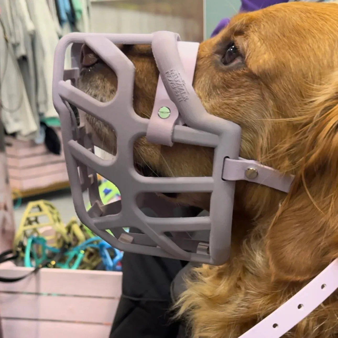 The Muzzle Movement Size Taz (Wholesale)
