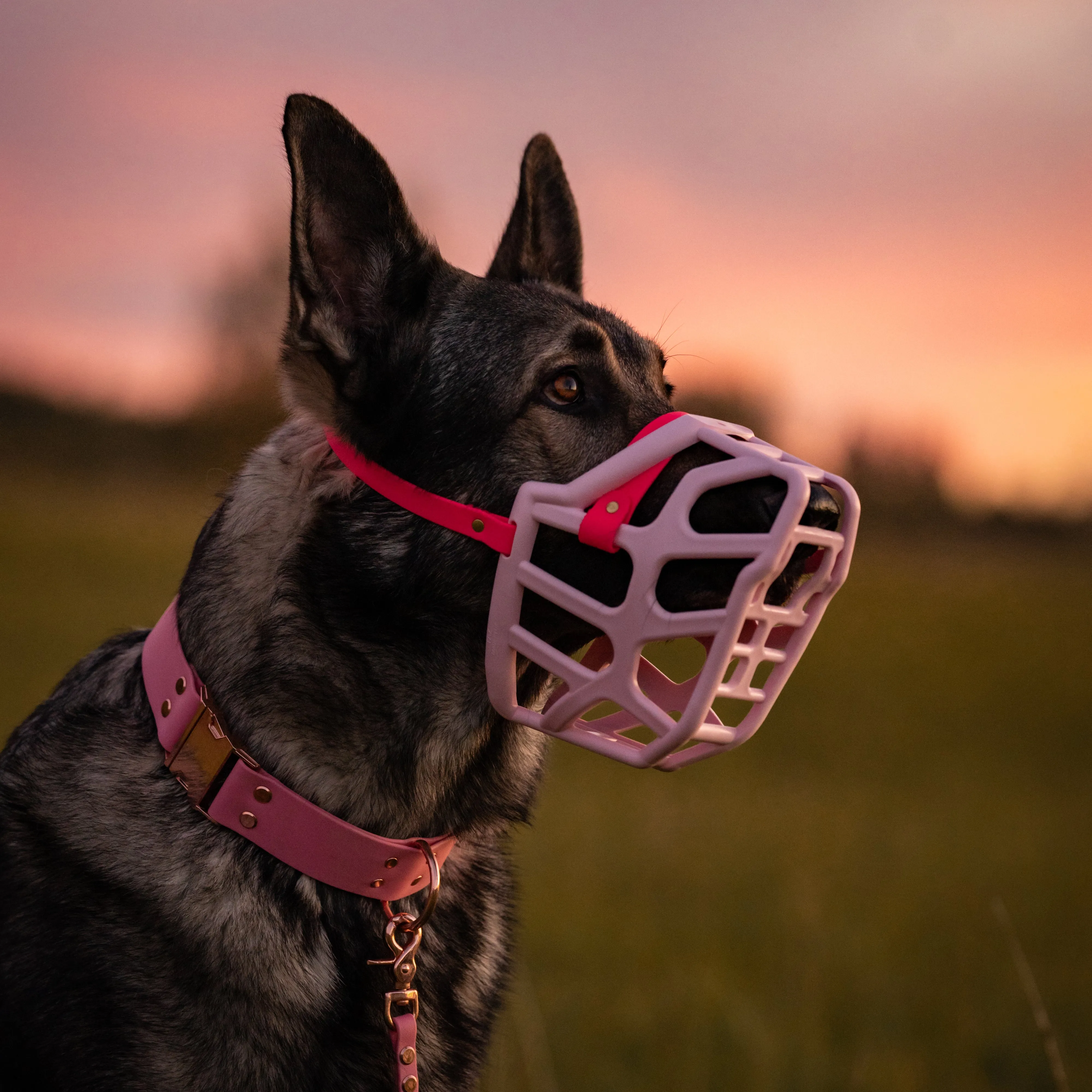 The Muzzle Movement Size Taz (Wholesale)