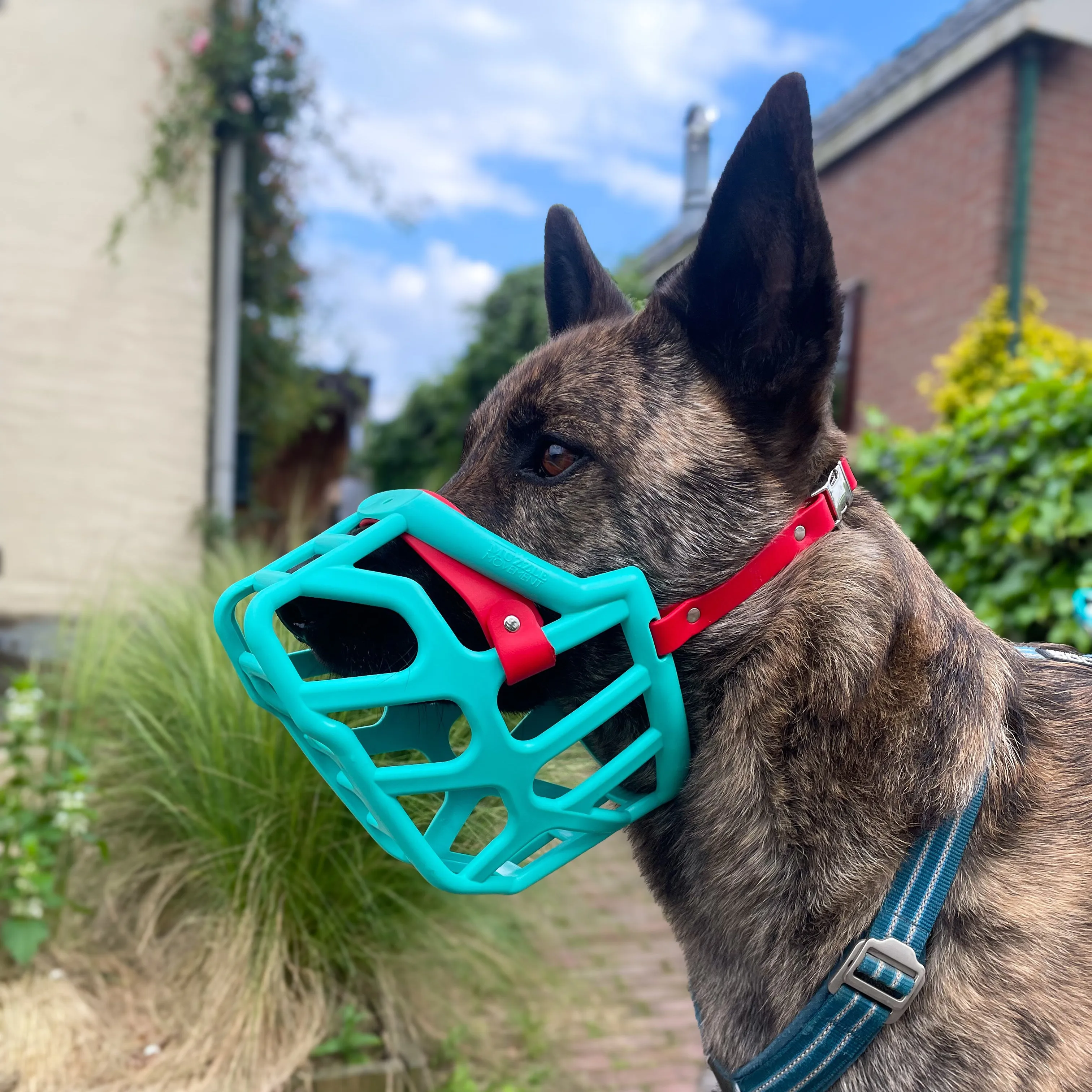 The Muzzle Movement Size Taz (Wholesale)