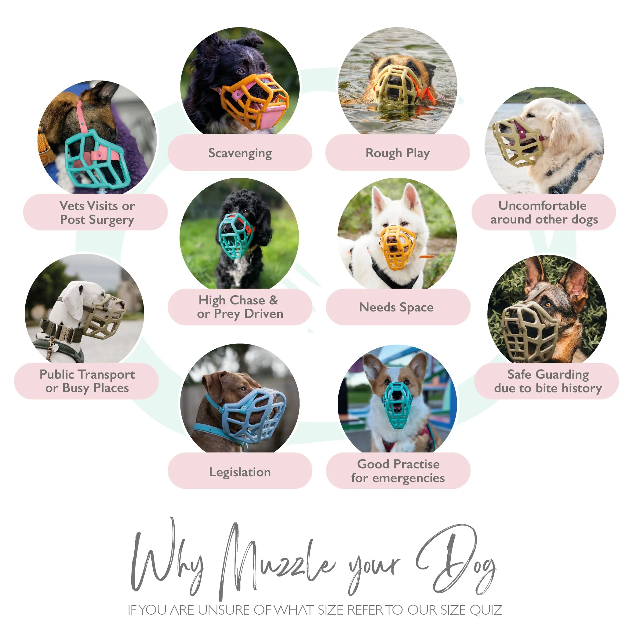 The Muzzle Movement Size Taz (Wholesale)