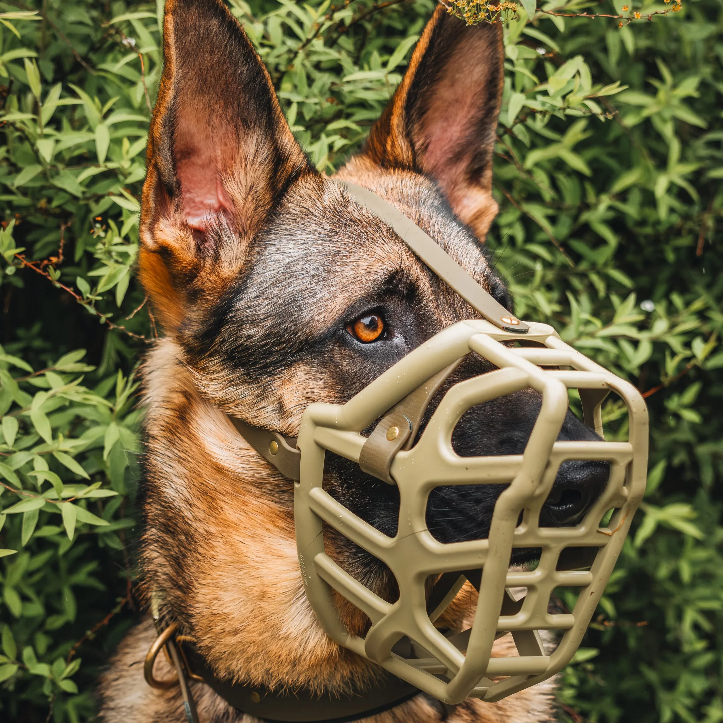 The Muzzle Movement Size Taz (Wholesale)
