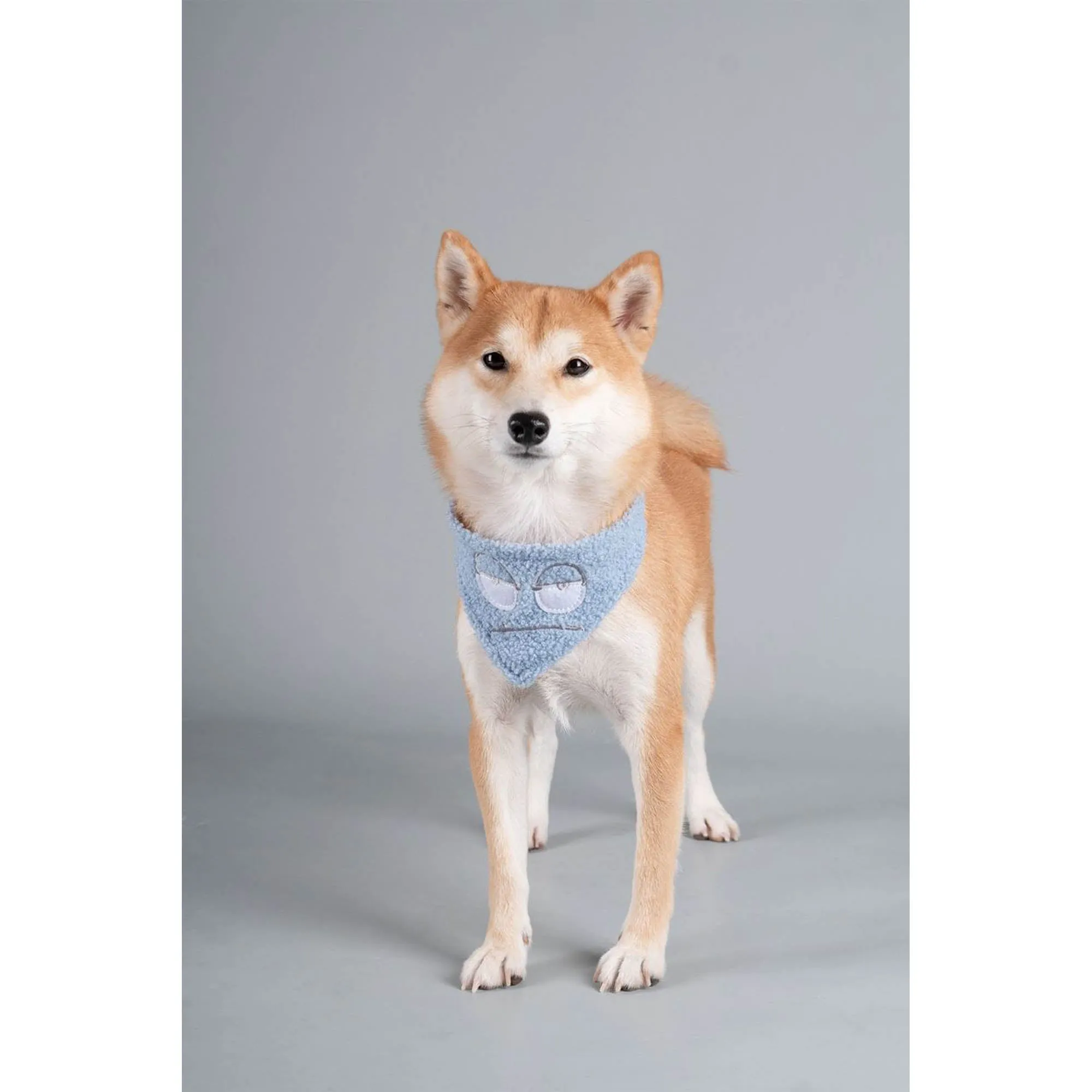 Touchdog&reg; Dizzy-Eyed Dog Bandana & Scarf