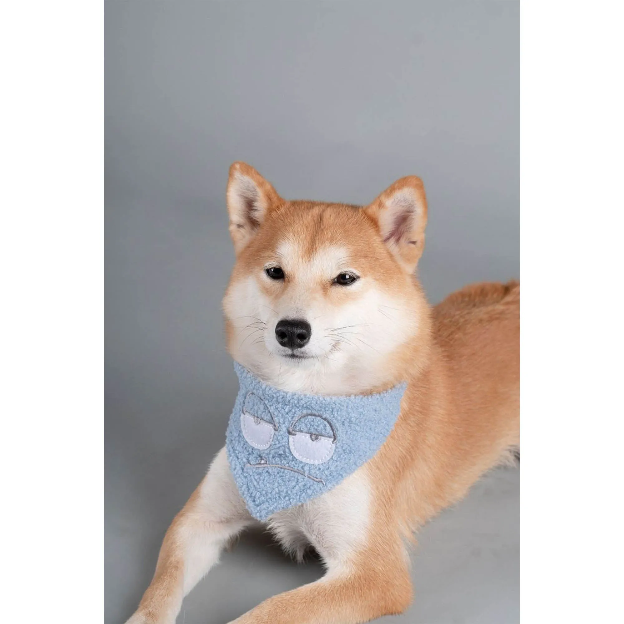 Touchdog&reg; Dizzy-Eyed Dog Bandana & Scarf