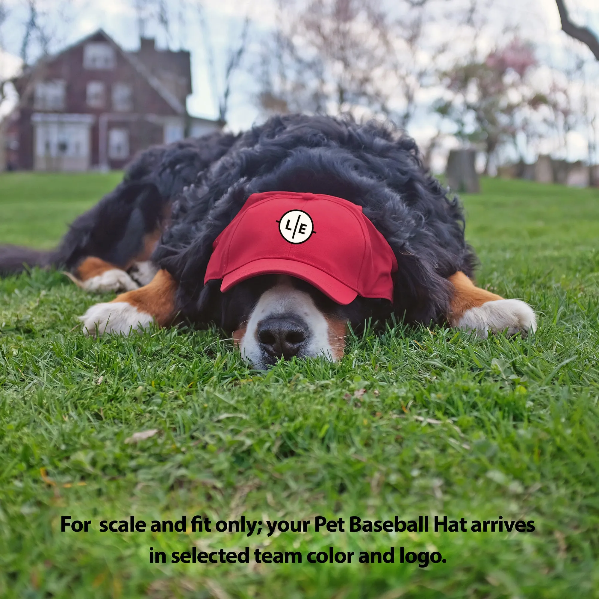 University of Alabama Pet Baseball Hat