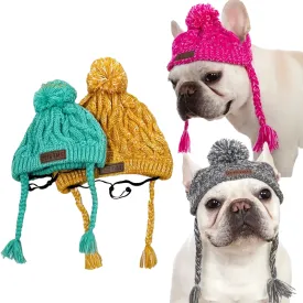 Winter Dog Hat