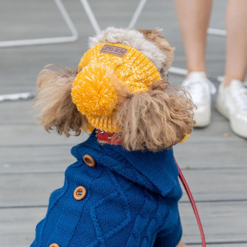 Winter Dog Hat
