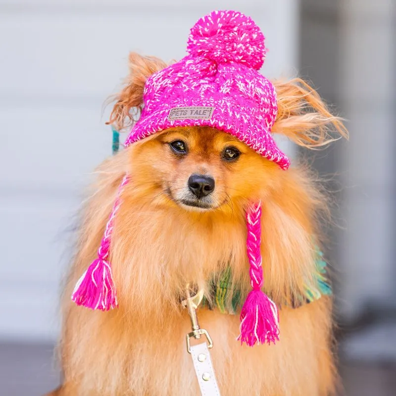 Winter Dog Hat